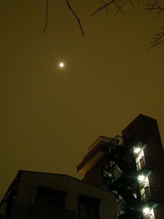 DSCN5946.jpg