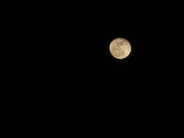 DSCN5955.jpg