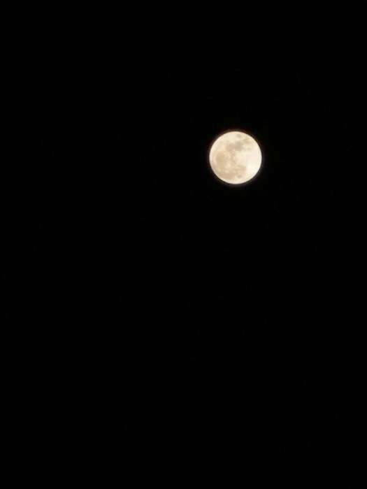 DSCN6093.jpg