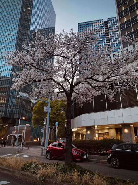 IMG_6614.jpeg