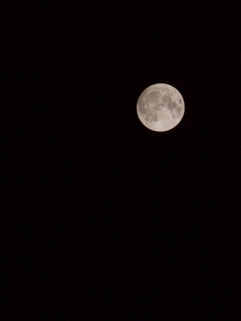 P8303846.jpeg